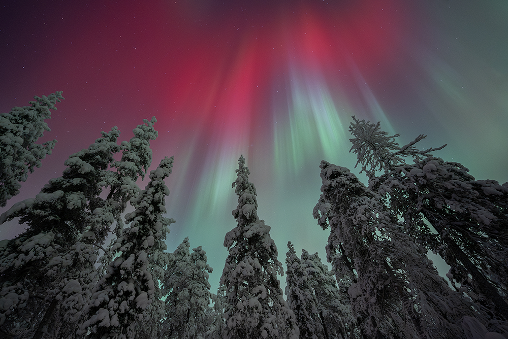 colourfull northern lights
