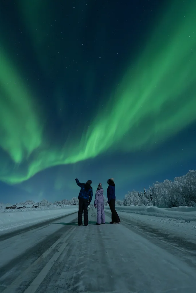 Family Northern Lights Tour Lappiland