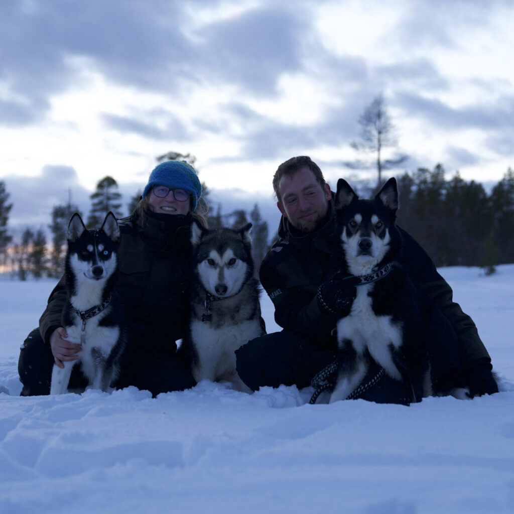 Wild Kemijoki Husky Experience
