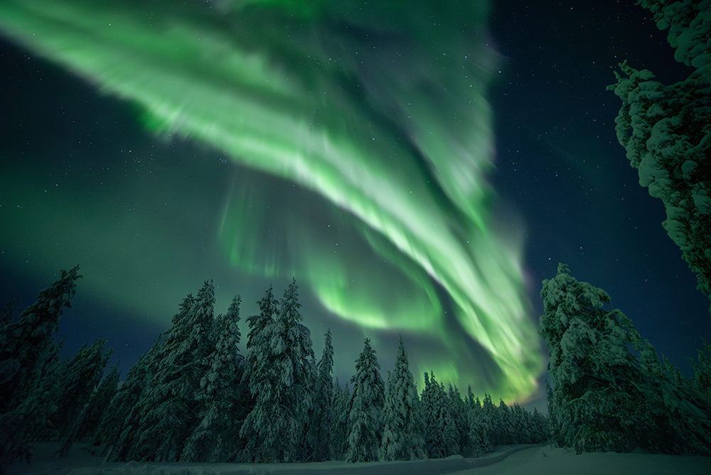Evening Reindeer Experience over Lapland